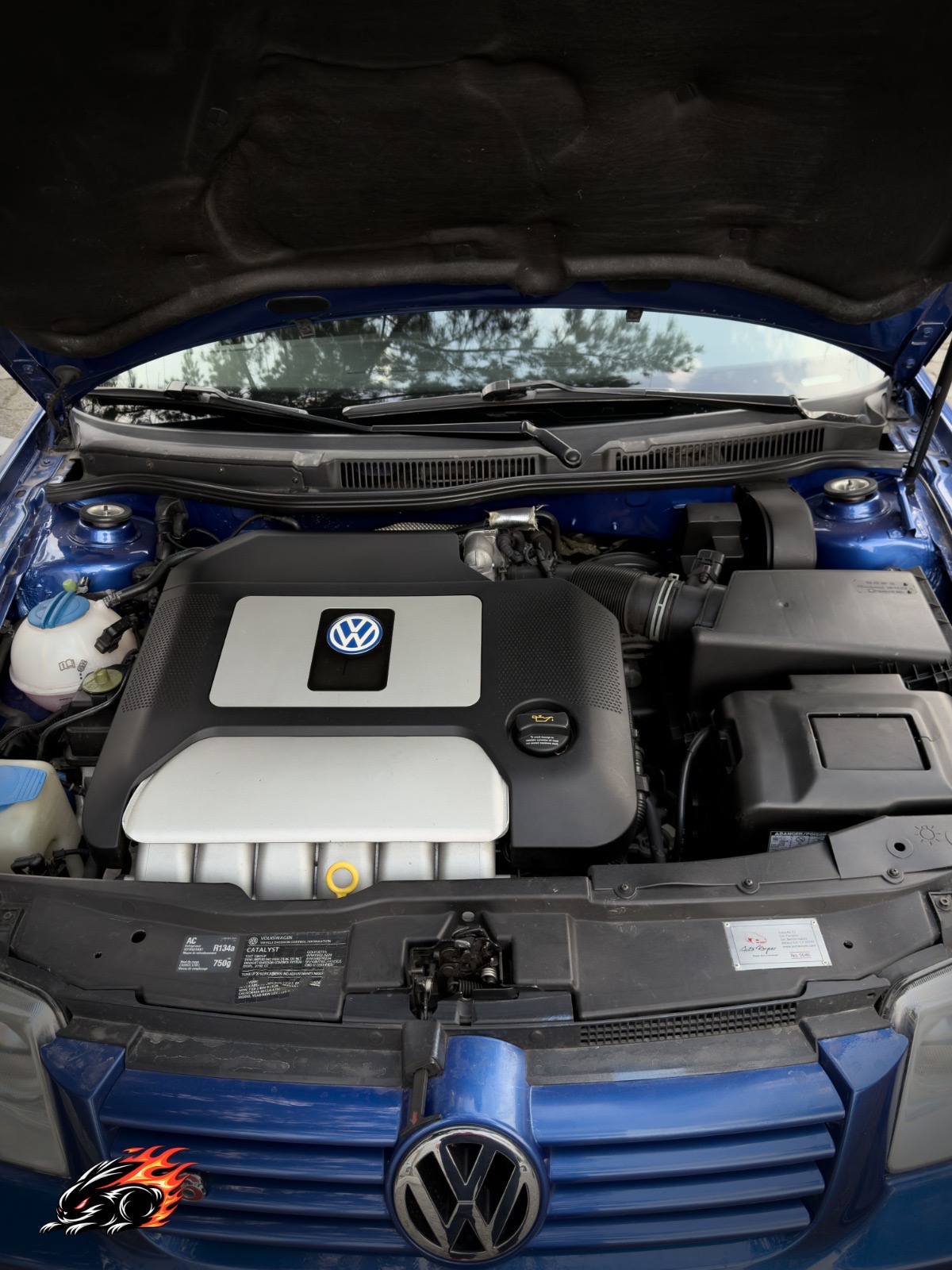 JETTA V6 4 MOTION 
